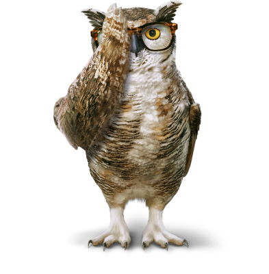 America's Best Owl Mascot - An image of an owl covering its eye as if taking an eye exam