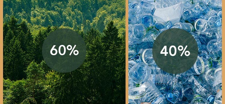 Sustainability