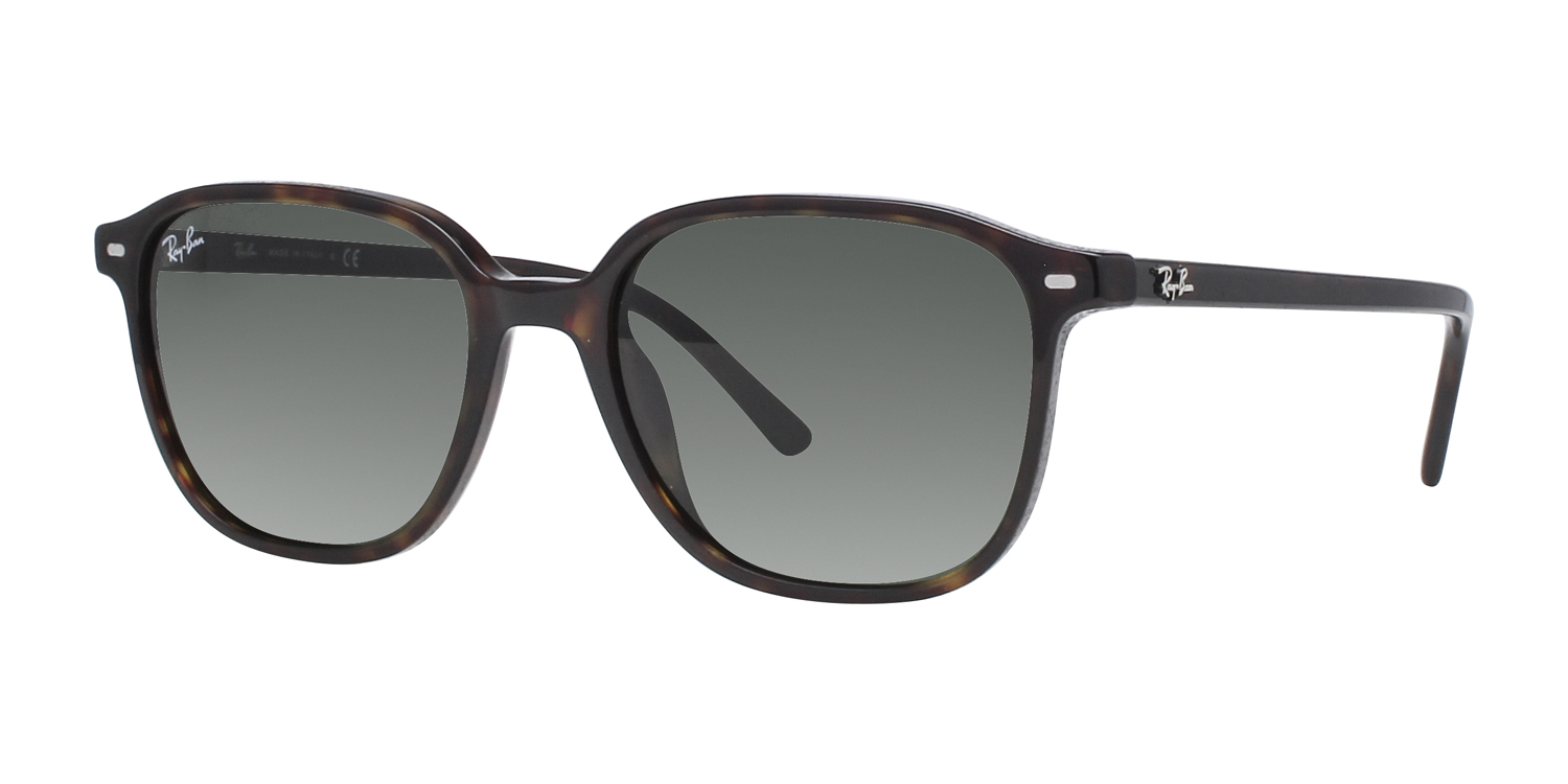 Ray-Ban® 2193 large view angle 1