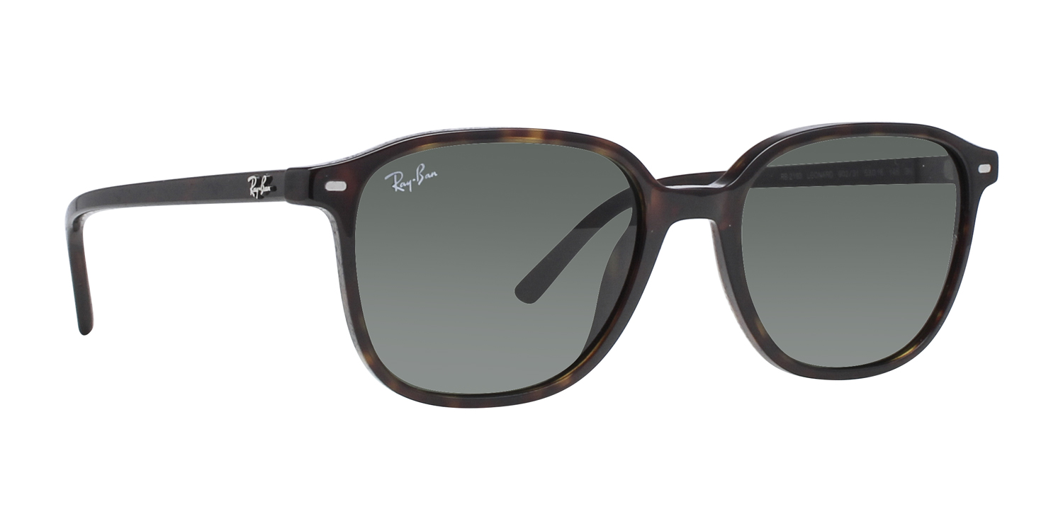 Ray-Ban® 2193 large view angle 3