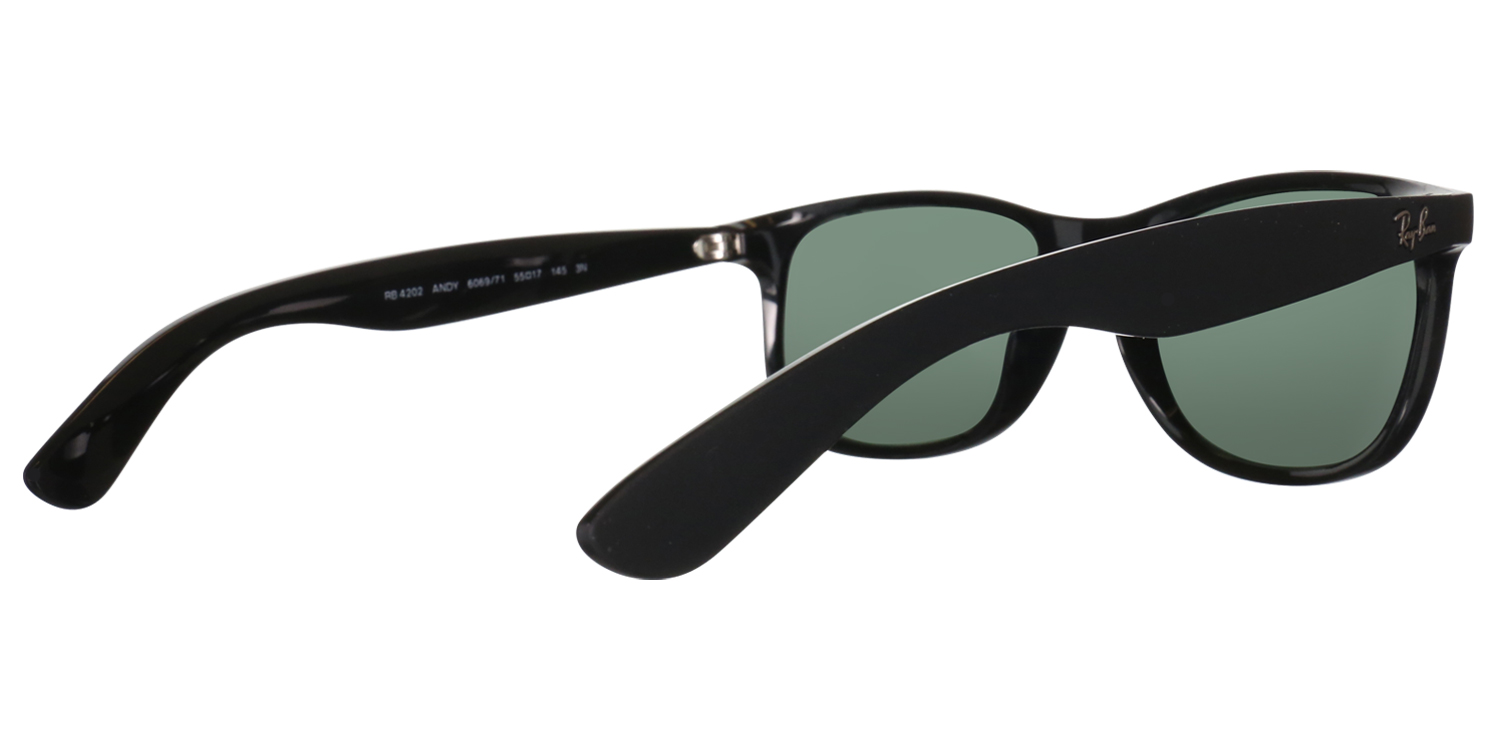 Ray-Ban® 4202 Shiny Black