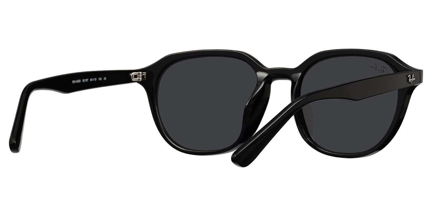 Ray-Ban® 4459D Black display picture 2