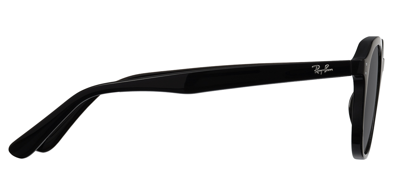 Ray-Ban® 4459D Black display picture 1